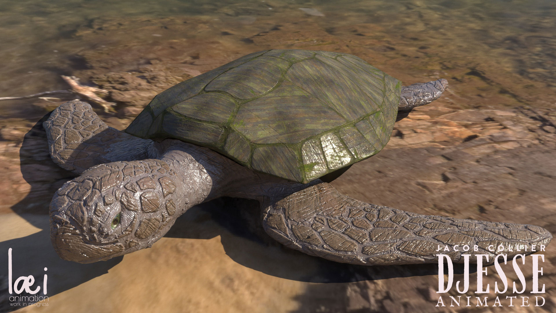 Final 3D Model of Leonardo - The turtle (obviously)